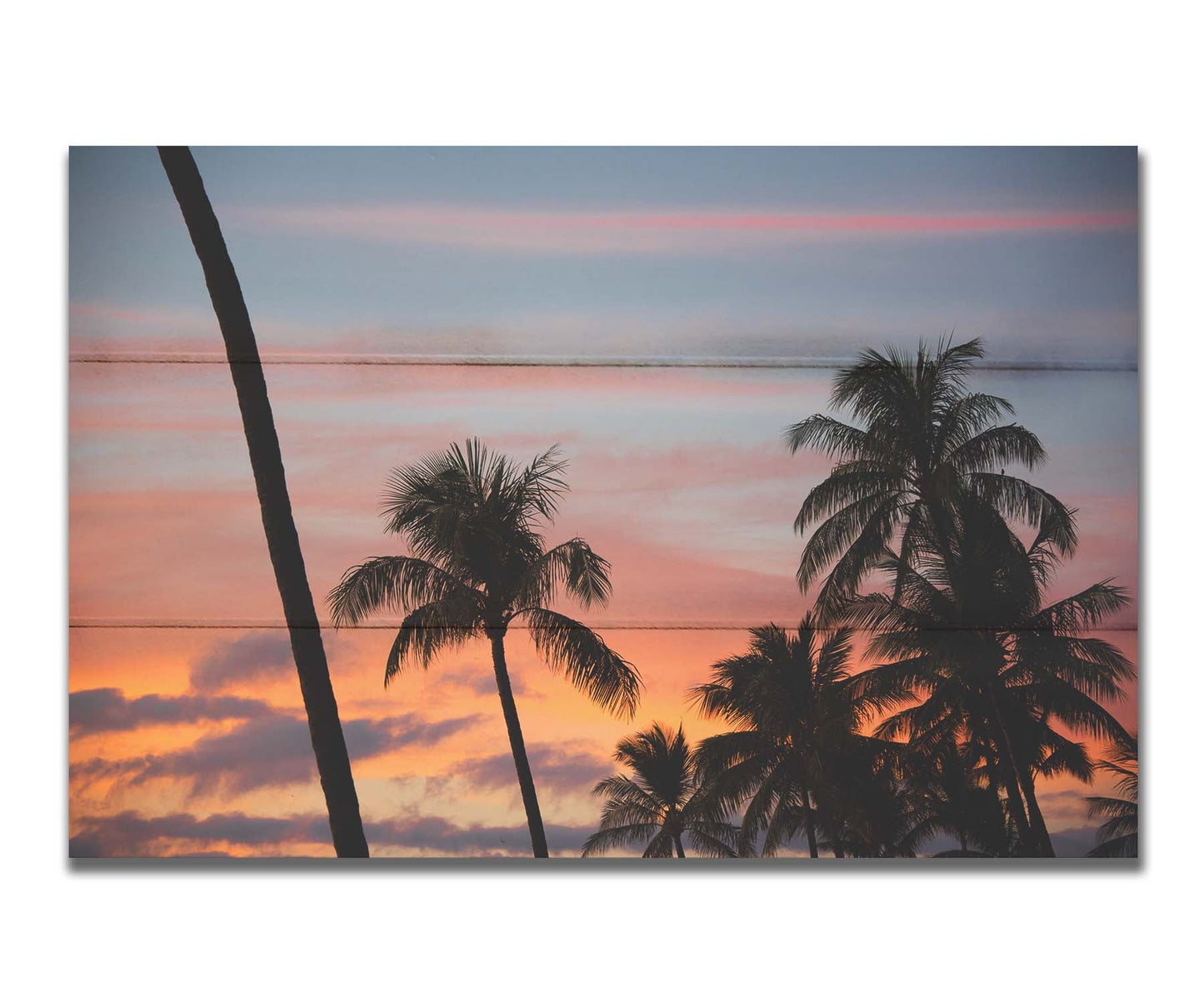 A photograph of Hawaiʻian palm trees, sihouetted against a sunset sky in orange, pink, and blue. Printed on a box board.