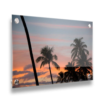 A photograph of Hawaiʻian palm trees, sihouetted against a sunset sky in orange, pink, and blue. Printed on acrylic.