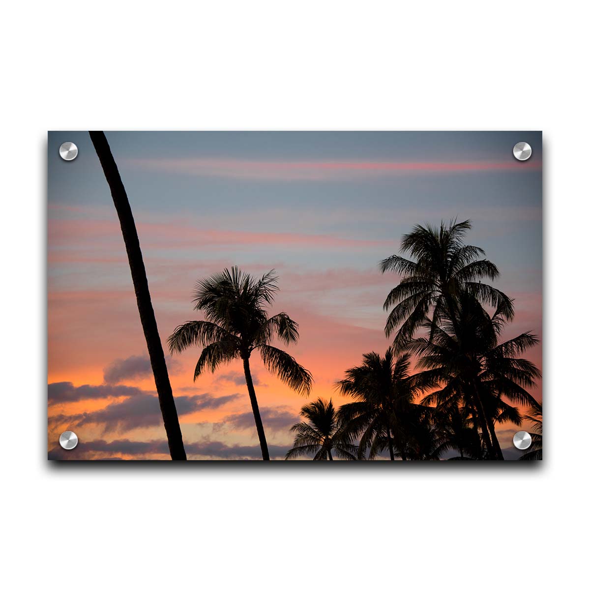 A photograph of Hawaiʻian palm trees, sihouetted against a sunset sky in orange, pink, and blue. Printed on acrylic.