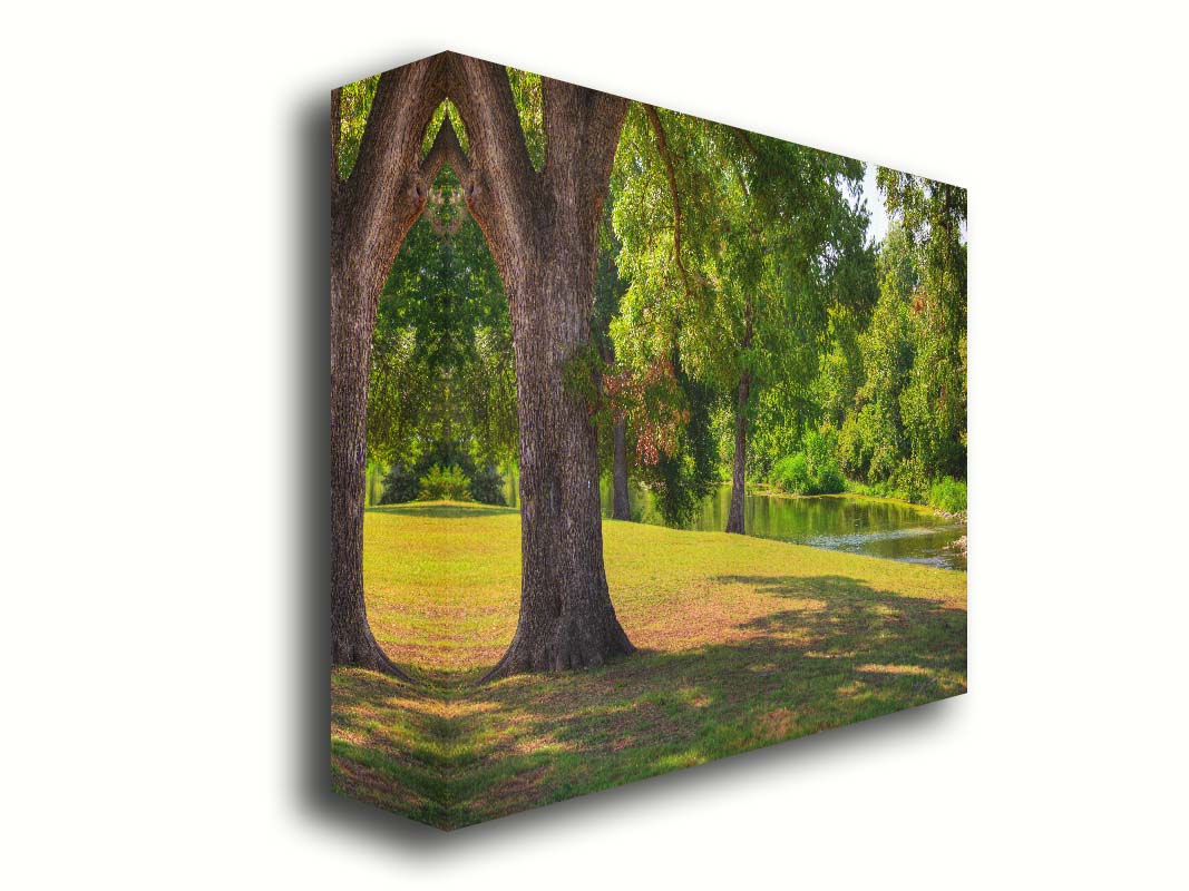 A photograph of a portion of the Comal River through New Braunfels, Texas. Short trimmed grass and park trees line the bank. Printed on canvas.