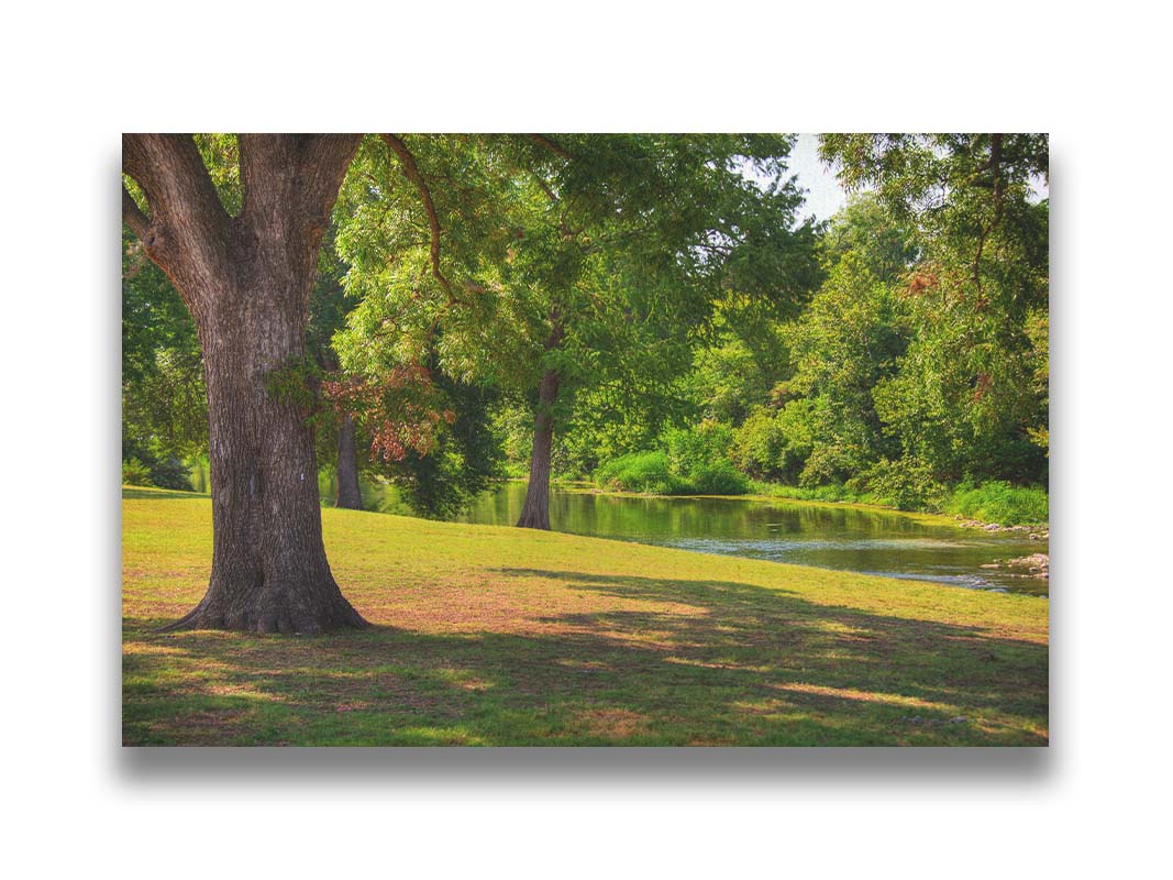 A photograph of a portion of the Comal River through New Braunfels, Texas. Short trimmed grass and park trees line the bank. Printed on canvas.