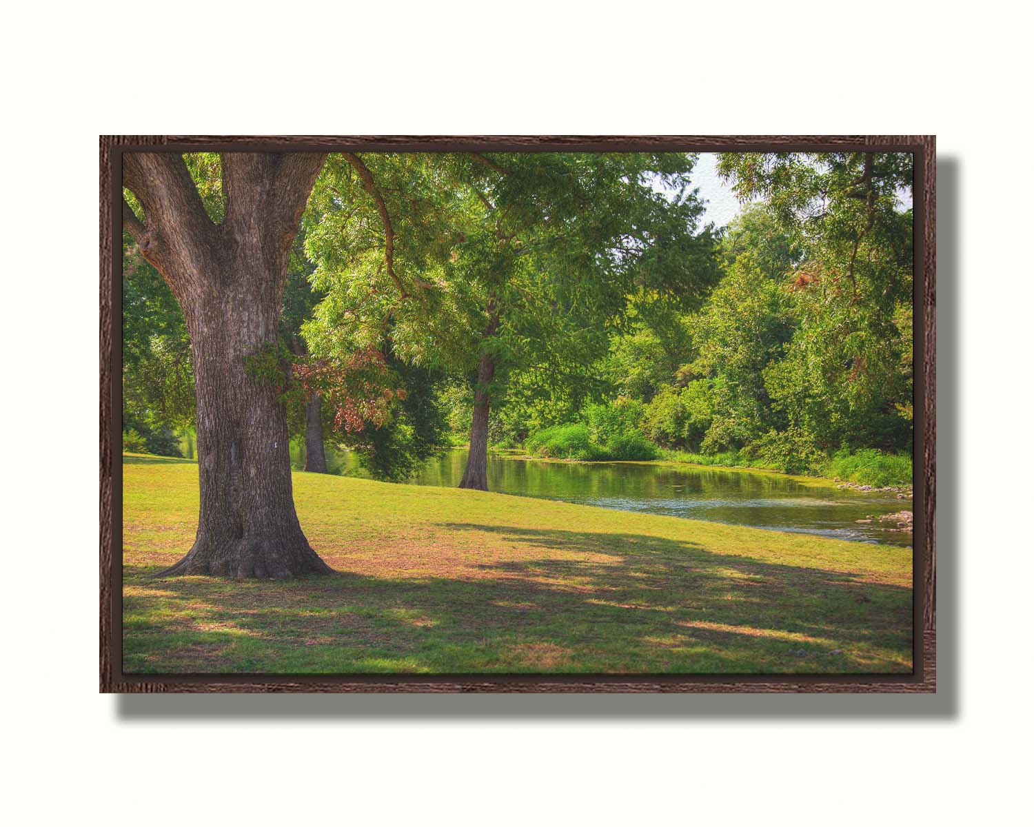 A photograph of a portion of the Comal River through New Braunfels, Texas. Short trimmed grass and park trees line the bank. Printed on canvas in a float frame.