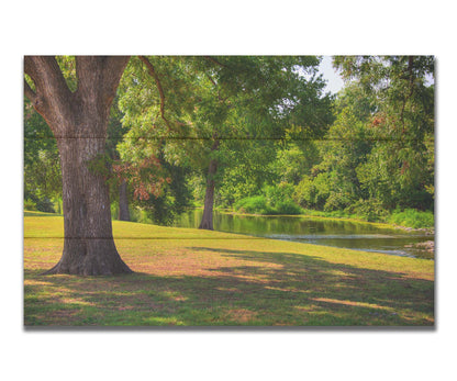 A photograph of a portion of the Comal River through New Braunfels, Texas. Short trimmed grass and park trees line the bank. Printed on a box board.