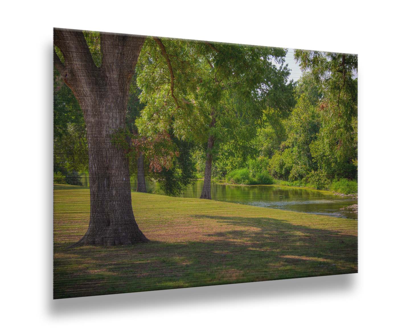 A photograph of a portion of the Comal River through New Braunfels, Texas. Short trimmed grass and park trees line the bank. Printed on metal.