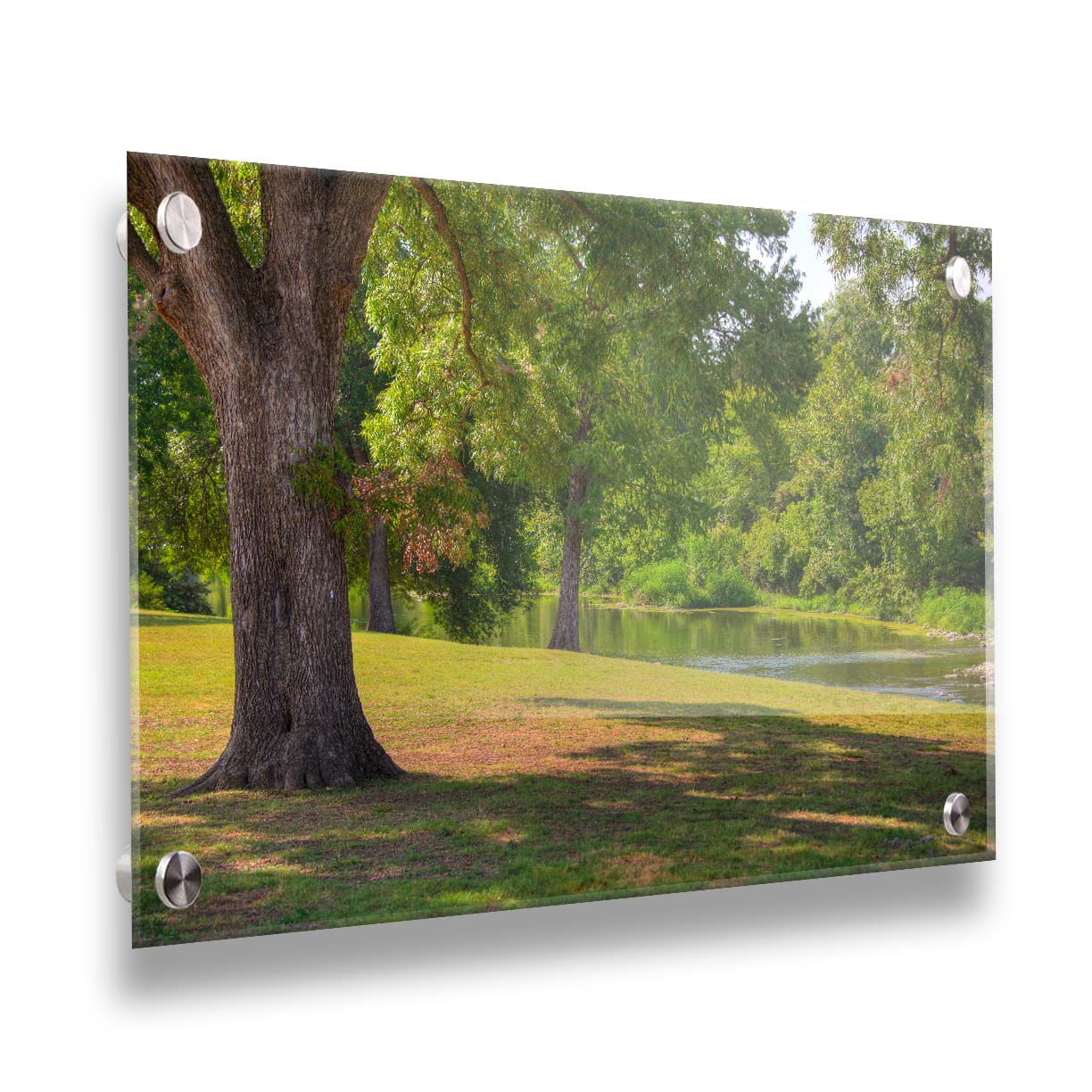 A photograph of a portion of the Comal River through New Braunfels, Texas. Short trimmed grass and park trees line the bank. Printed on acrylic.