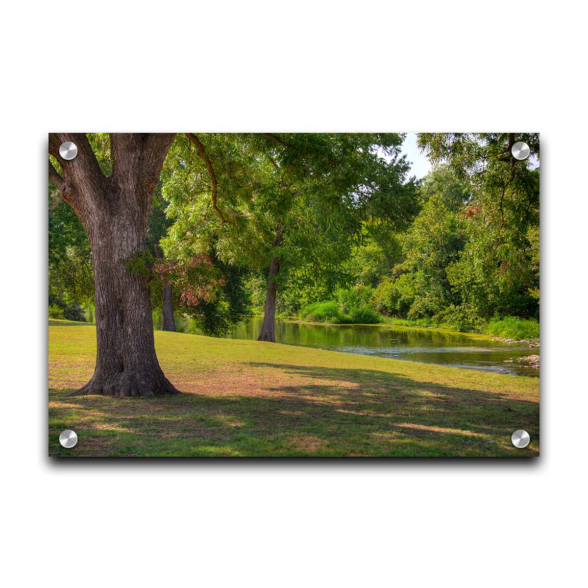 A photograph of a portion of the Comal River through New Braunfels, Texas. Short trimmed grass and park trees line the bank. Printed on acrylic.