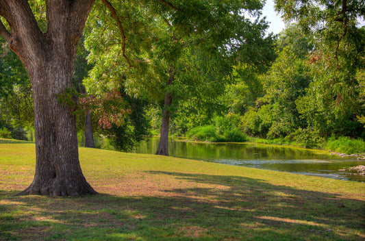 A photograph of a portion of the Comal River through New Braunfels, Texas. Short trimmed grass and park trees line the bank.