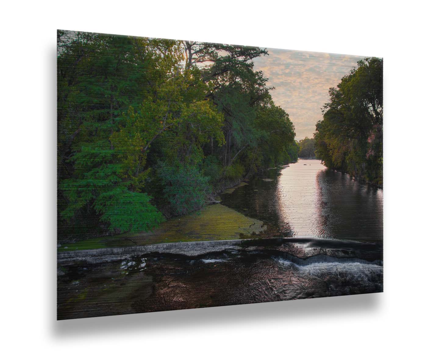 A photograph of the Comal River in New Braunfels, Texas. Printed on metal.