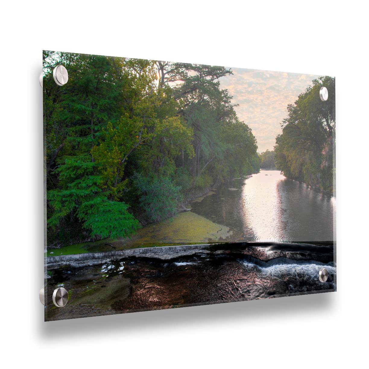 A photograph of the Comal River in New Braunfels, Texas. Printed on acrylic.