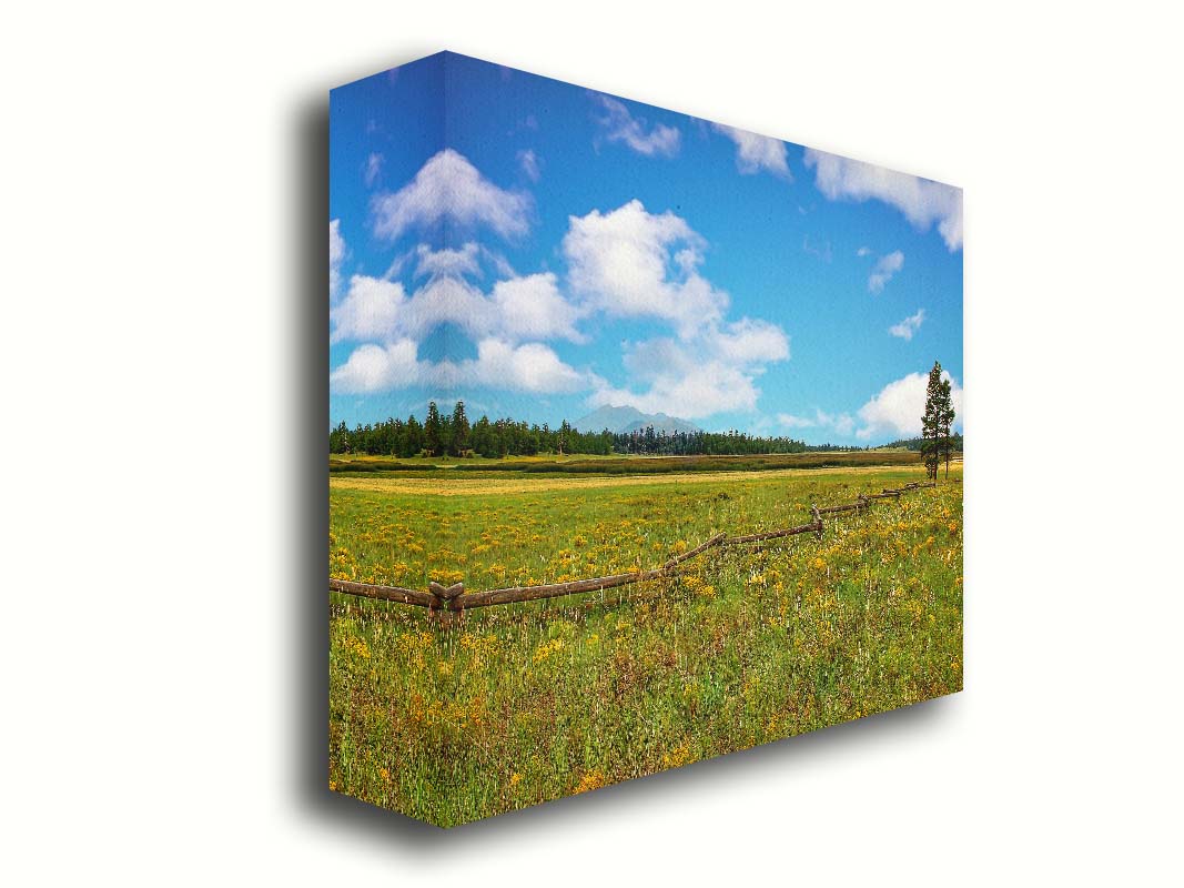 A photograph of a wildflower field in Flagstaff, Arizona. A clear blue sky is punctuated by fluffy white clouds. Distant evergreens divide the horizon, and a wood log fence zigzags across the green and yellow flower field. Printed on canvas.