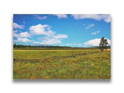 A photograph of a wildflower field in Flagstaff, Arizona. A clear blue sky is punctuated by fluffy white clouds. Distant evergreens divide the horizon, and a wood log fence zigzags across the green and yellow flower field. Printed on canvas.