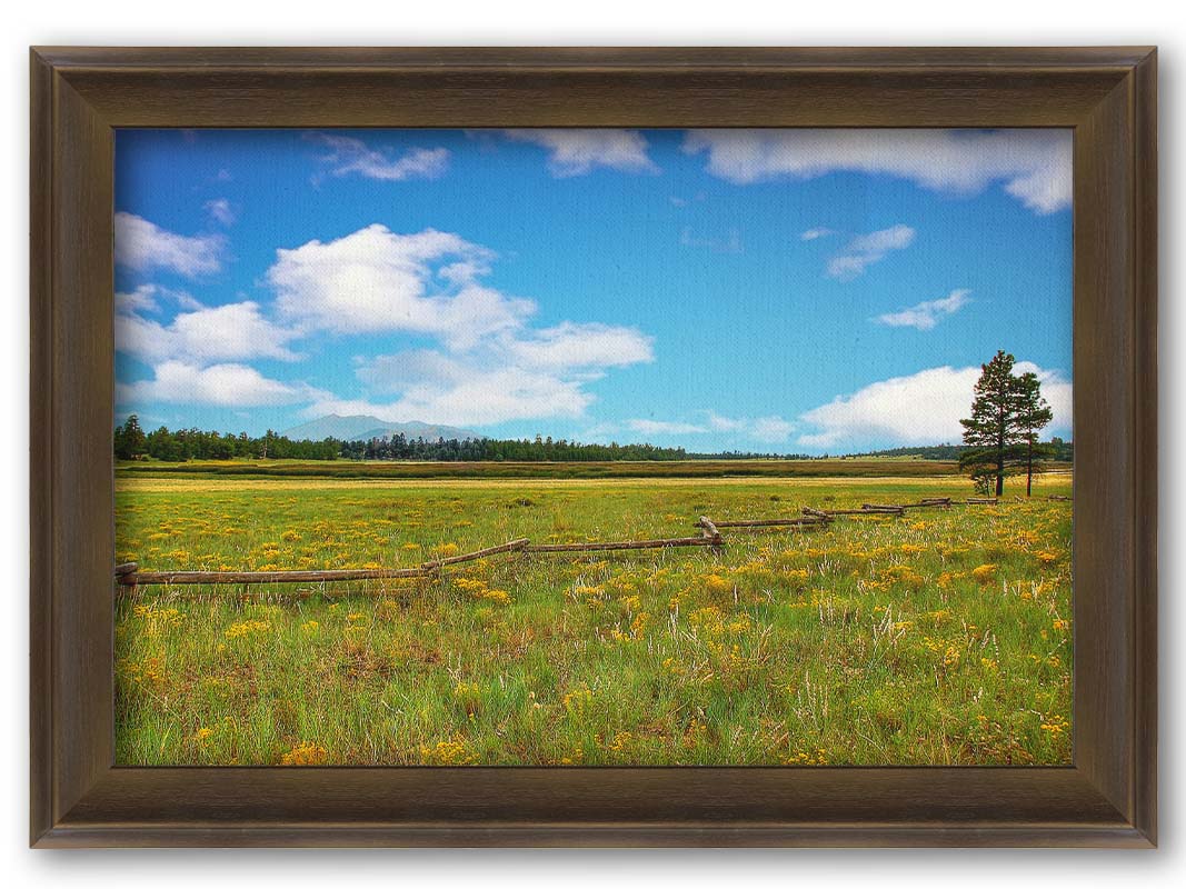 A photograph of a wildflower field in Flagstaff, Arizona. A clear blue sky is punctuated by fluffy white clouds. Distant evergreens divide the horizon, and a wood log fence zigzags across the green and yellow flower field. Printed on canvas and framed.