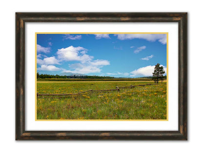 A photograph of a wildflower field in Flagstaff, Arizona. A clear blue sky is punctuated by fluffy white clouds. Distant evergreens divide the horizon, and a wood log fence zigzags across the green and yellow flower field. Printed on paper, matted, and framed.