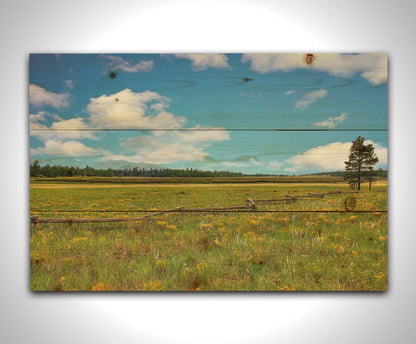 A photograph of a wildflower field in Flagstaff, Arizona. A clear blue sky is punctuated by fluffy white clouds. Distant evergreens divide the horizon, and a wood log fence zigzags across the green and yellow flower field. Printed on a wood pallet.