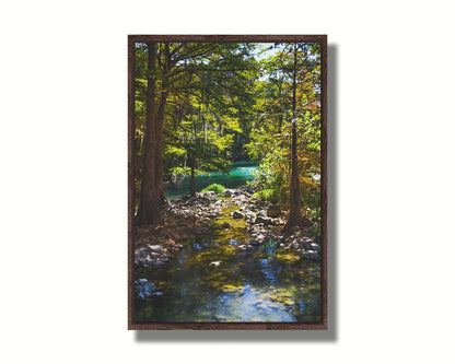 A photograph of the Guadalupe River in Gruene, Texas. Trees and foliage thrive around the water source, creating a lush green scene. The river reflects a vibrant turquoise behind the trees. Printed on canvas in a float frame.