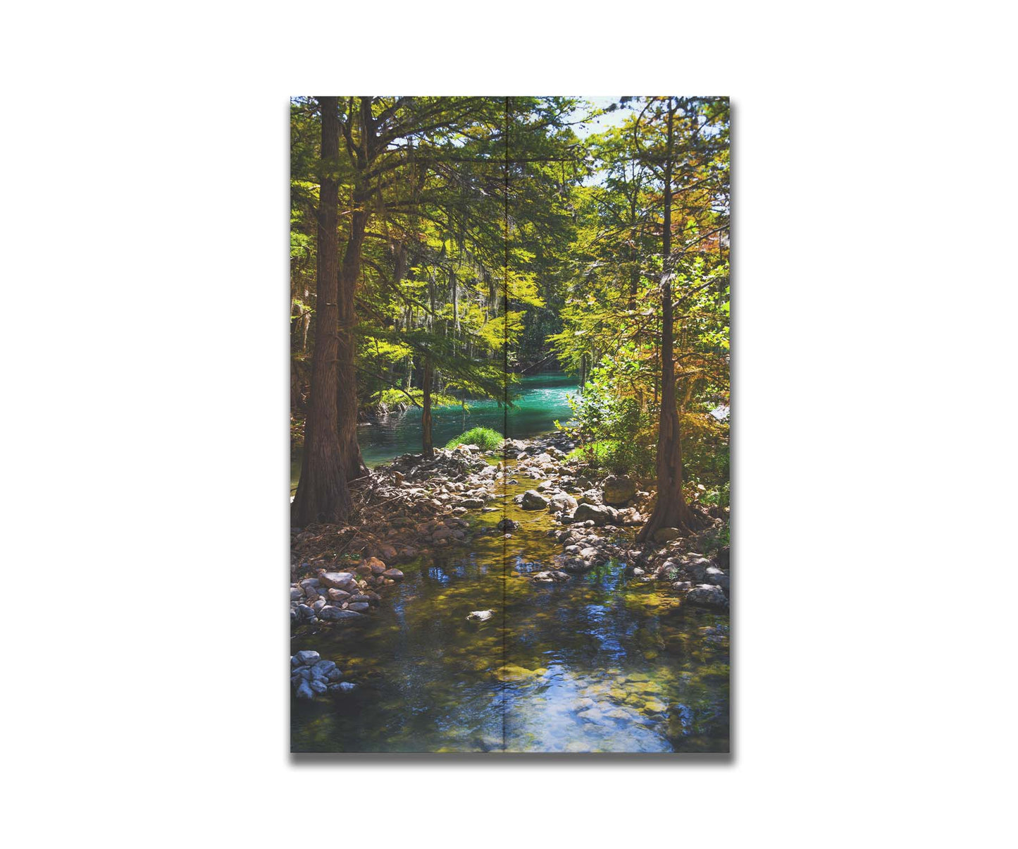 A photograph of the Guadalupe River in Gruene, Texas. Trees and foliage thrive around the water source, creating a lush green scene. The river reflects a vibrant turquoise behind the trees. Printed on a box board.