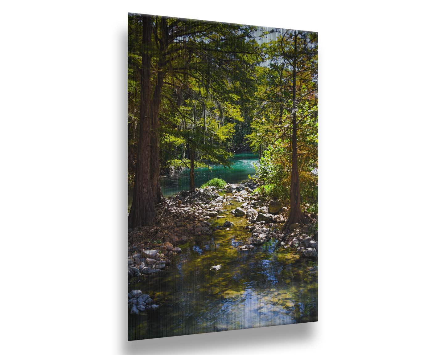 A photograph of the Guadalupe River in Gruene, Texas. Trees and foliage thrive around the water source, creating a lush green scene. The river reflects a vibrant turquoise behind the trees. Printed on metal.