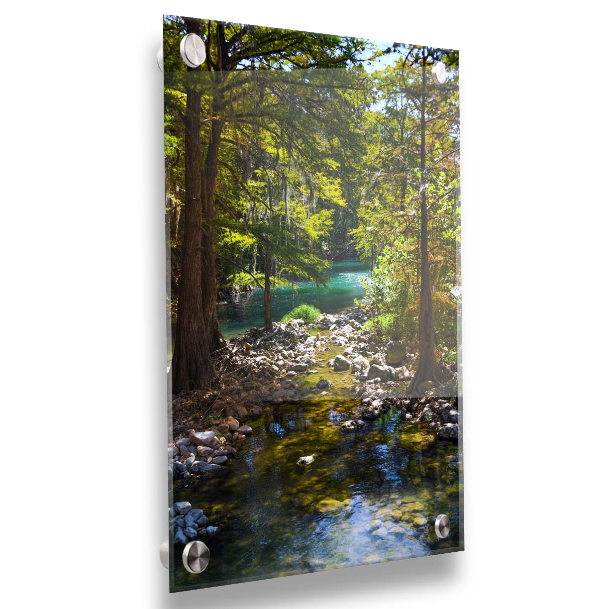 A photograph of the Guadalupe River in Gruene, Texas. Trees and foliage thrive around the water source, creating a lush green scene. The river reflects a vibrant turquoise behind the trees. Printed on acrylic.