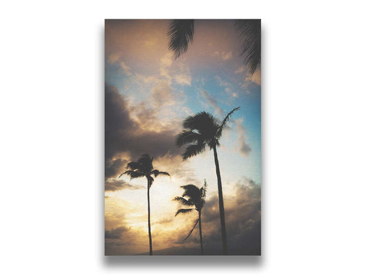 A photograph looking up at palm trees, silhouetted against the partly cloudy sky by a gentle sunset. Printed on canvas.