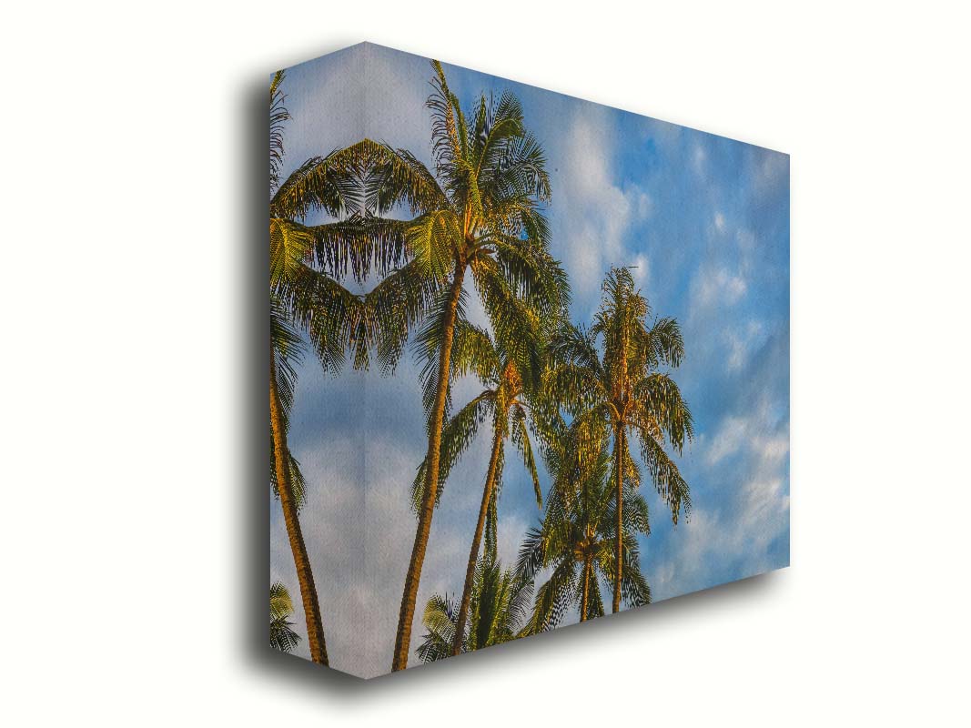 A photograph looking up at a group of palm trees against a bright blue, partly cloudy sky. Printed on canvas.