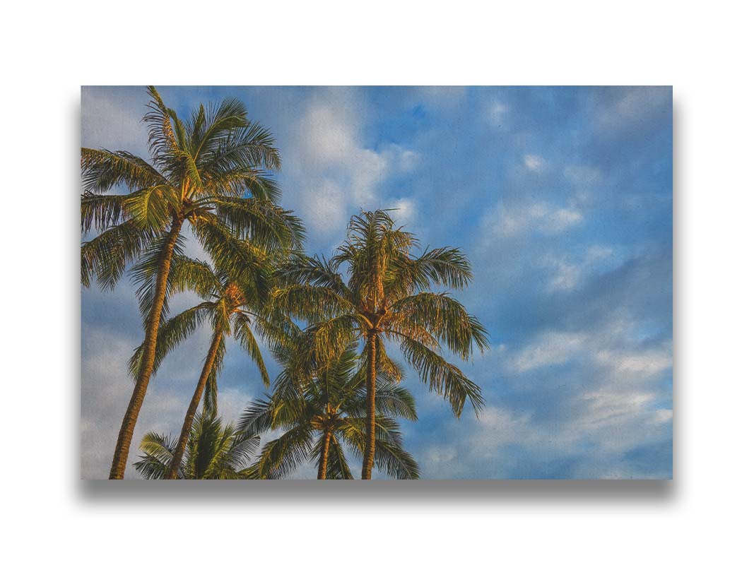 A photograph looking up at a group of palm trees against a bright blue, partly cloudy sky. Printed on canvas.