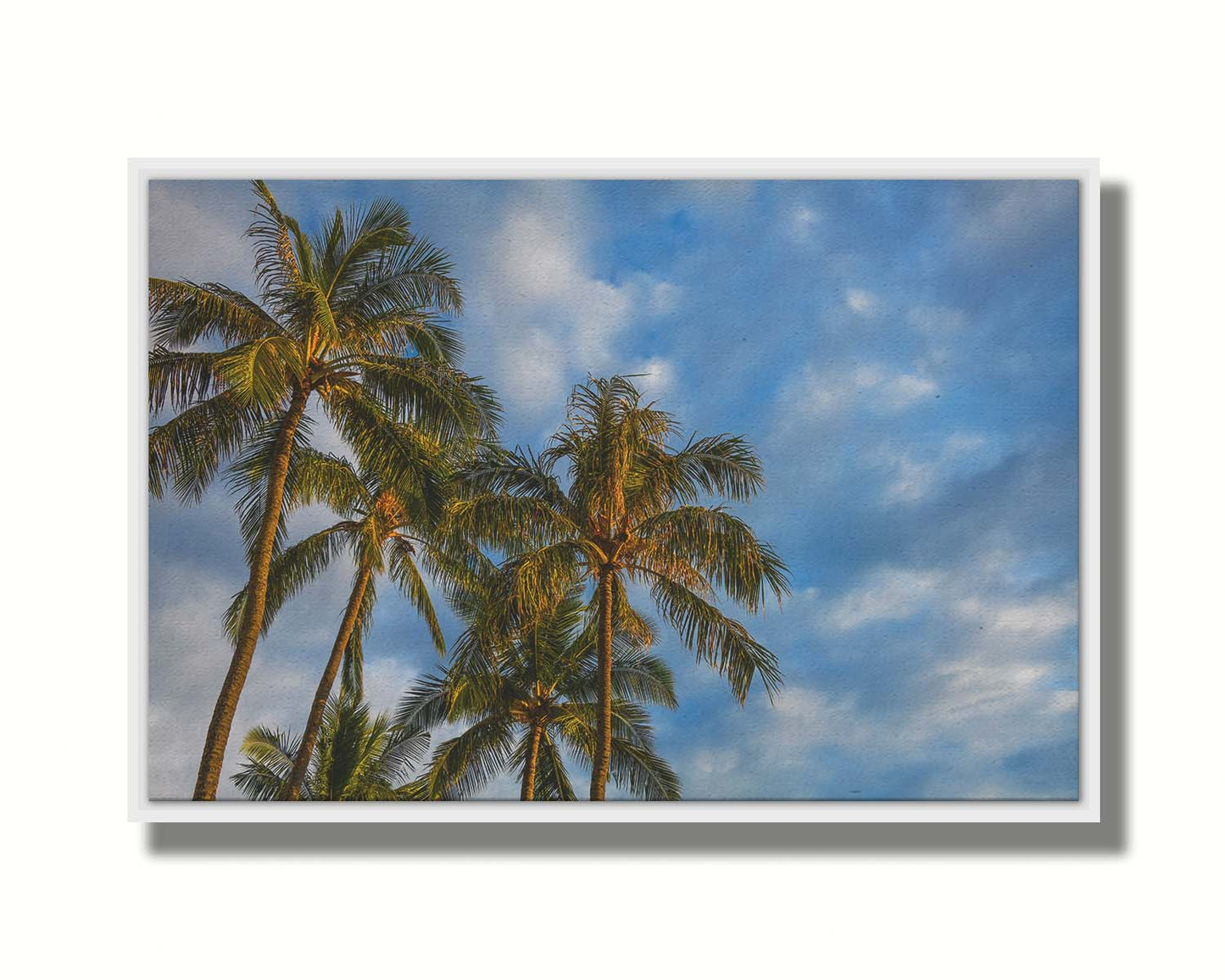 A photograph looking up at a group of palm trees against a bright blue, partly cloudy sky. Printed on canvas in a float fame.