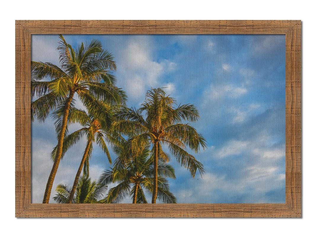 A photograph looking up at a group of palm trees against a bright blue, partly cloudy sky. Printed on canvas and framed.