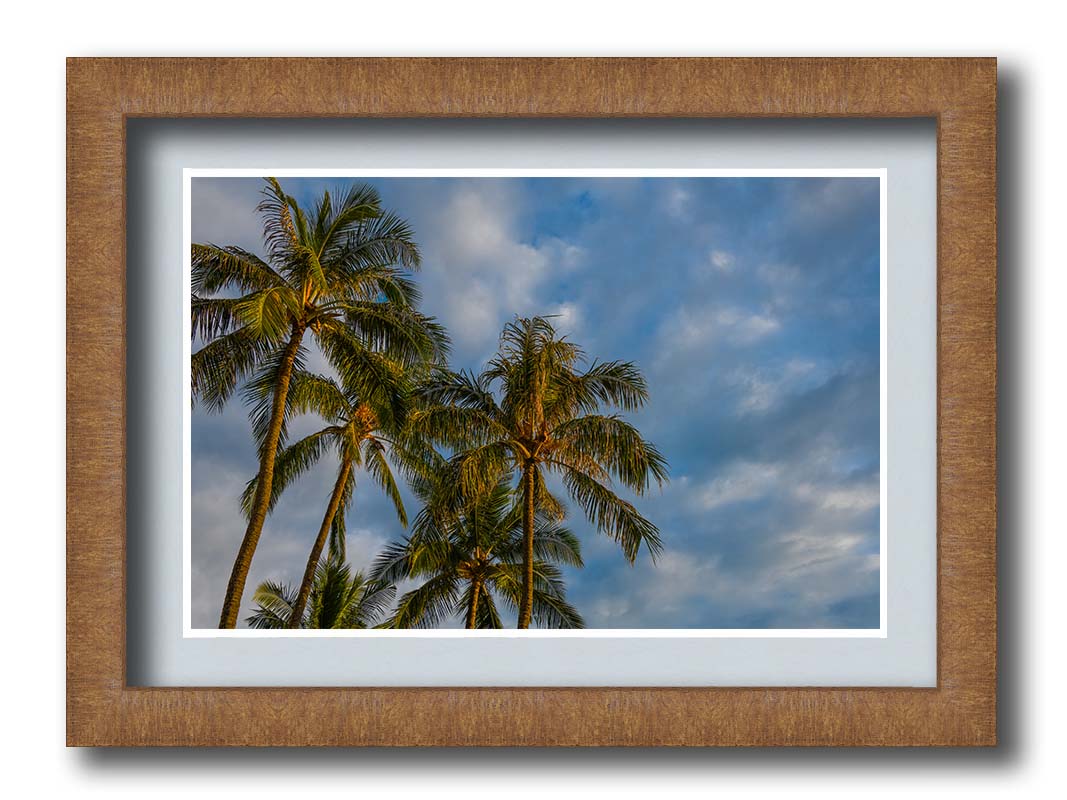 A photograph looking up at a group of palm trees against a bright blue, partly cloudy sky. Printed on paper, matted, and framed.