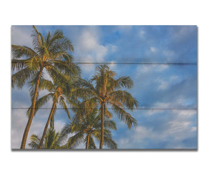 A photograph looking up at a group of palm trees against a bright blue, partly cloudy sky. Printed on a box board.