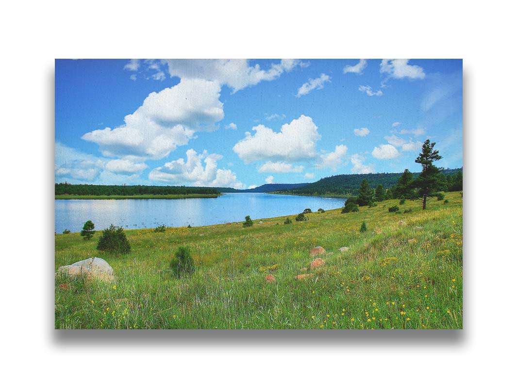 A photograph of Flagstaff, Arizona's Lake Mary twin lakes, surrounded by a vibrant meadow filled with yellow coneflowers on one side and an evergreen forest on the other. Printed on canvas.