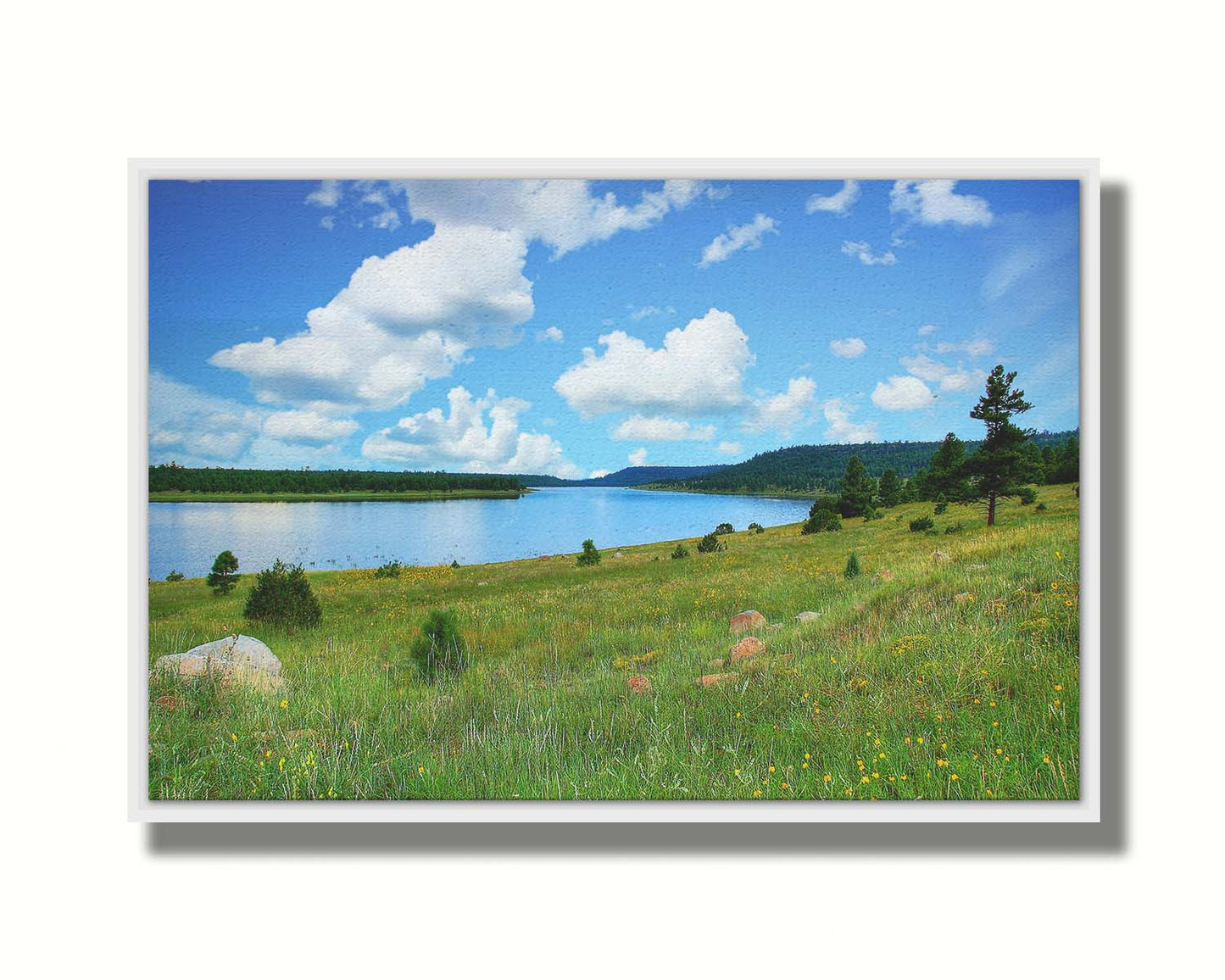 A photograph of Flagstaff, Arizona's Lake Mary twin lakes, surrounded by a vibrant meadow filled with yellow coneflowers on one side and an evergreen forest on the other. Printed on canvas in a float frame.