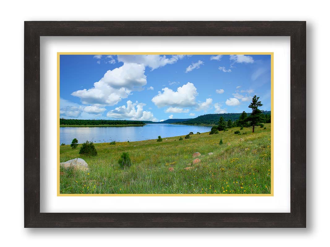 A photograph of Flagstaff, Arizona's Lake Mary twin lakes, surrounded by a vibrant meadow filled with yellow coneflowers on one side and an evergreen forest on the other. Printed on paper, matted, and framed.