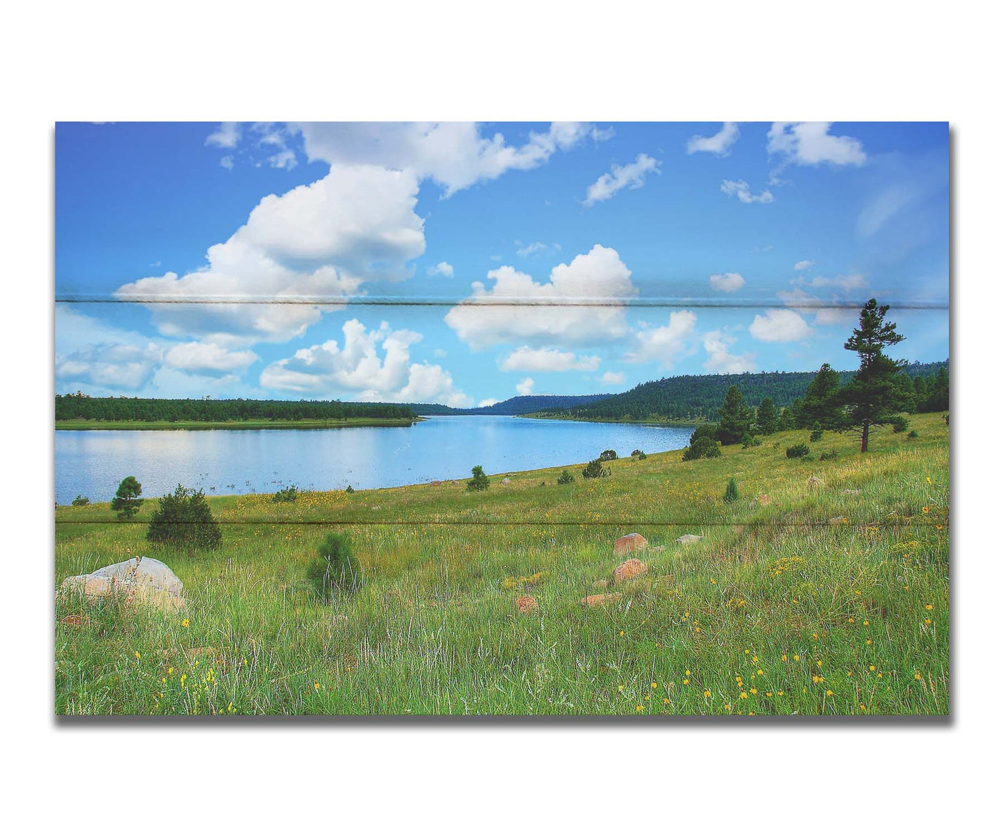 A photograph of Flagstaff, Arizona's Lake Mary twin lakes, surrounded by a vibrant meadow filled with yellow coneflowers on one side and an evergreen forest on the other. Printed on a box board.