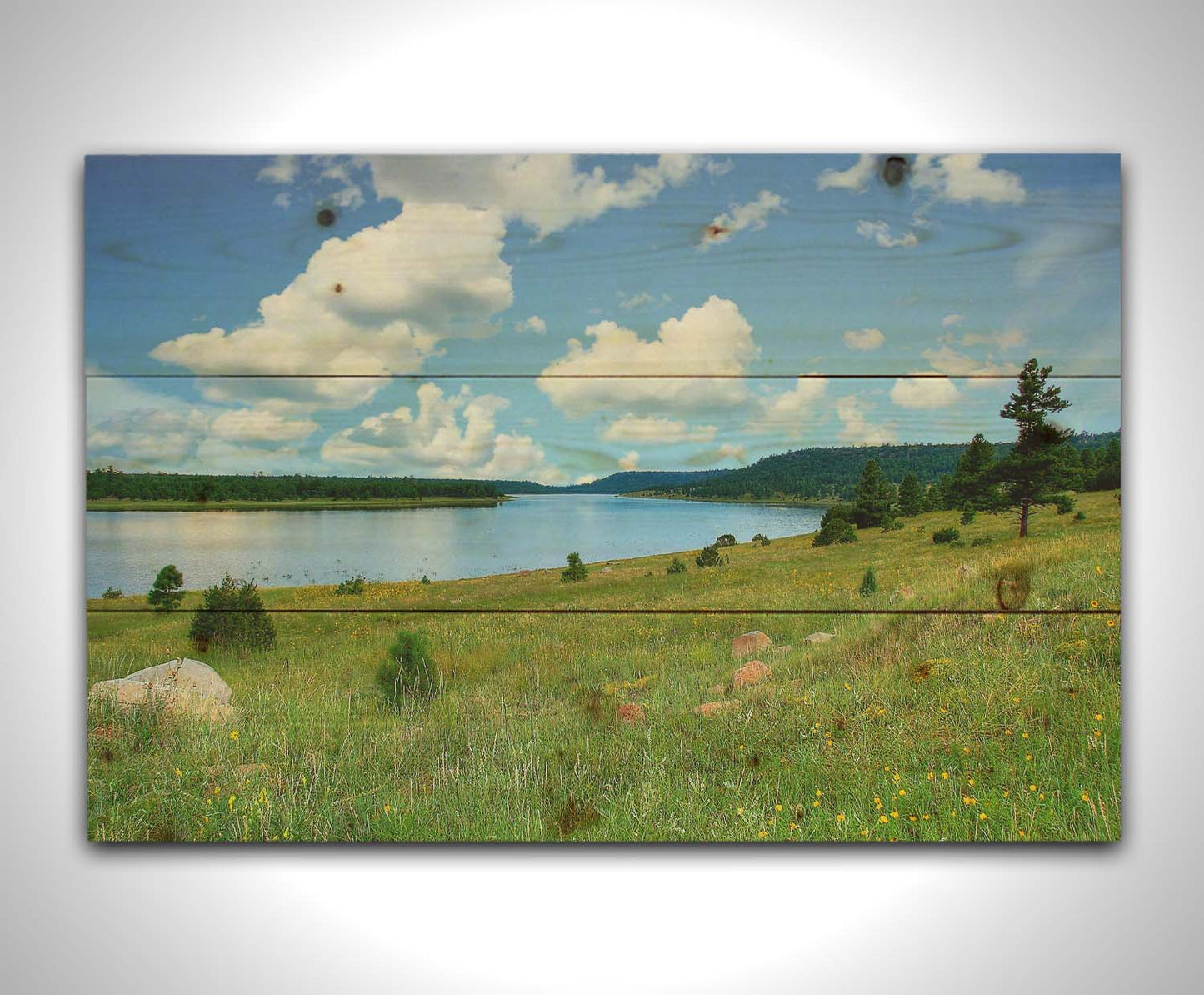 A photograph of Flagstaff, Arizona's Lake Mary twin lakes, surrounded by a vibrant meadow filled with yellow coneflowers on one side and an evergreen forest on the other. Printed on a wood pallet.