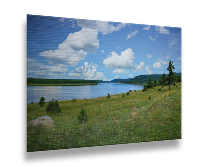 A photograph of Flagstaff, Arizona's Lake Mary twin lakes, surrounded by a vibrant meadow filled with yellow coneflowers on one side and an evergreen forest on the other. Printed on metal.