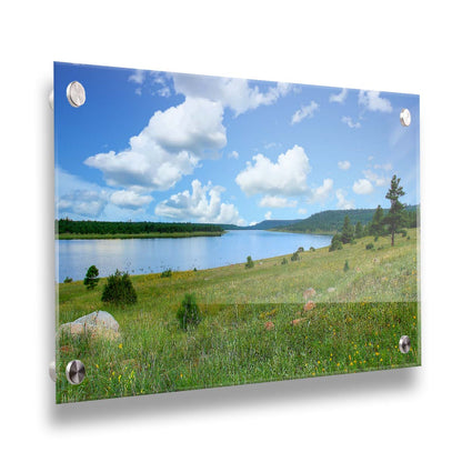 A photograph of Flagstaff, Arizona's Lake Mary twin lakes, surrounded by a vibrant meadow filled with yellow coneflowers on one side and an evergreen forest on the other. Printed on acrylic.