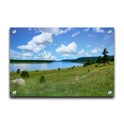 A photograph of Flagstaff, Arizona's Lake Mary twin lakes, surrounded by a vibrant meadow filled with yellow coneflowers on one side and an evergreen forest on the other. Printed on acrylic.