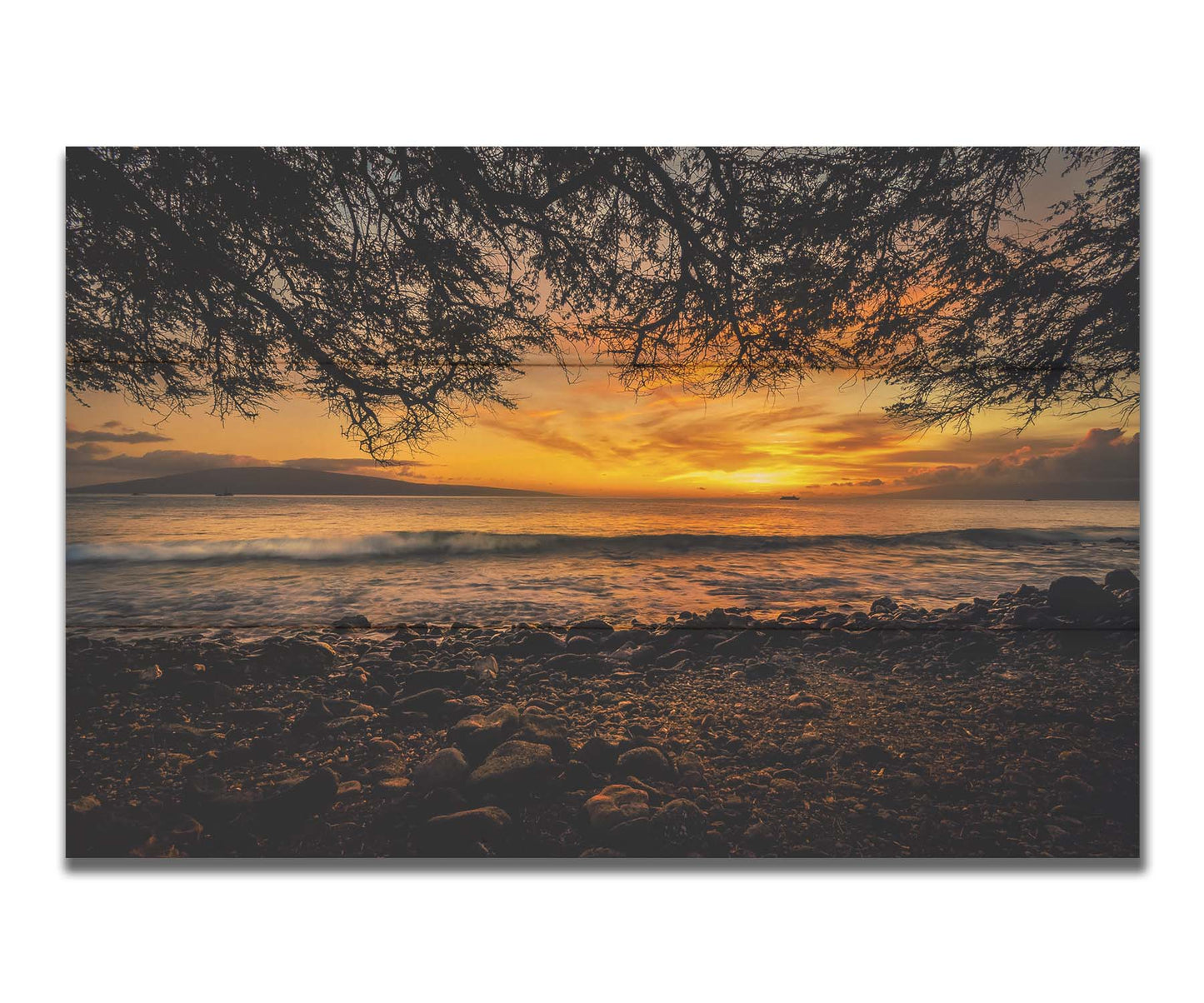 A photograph of the sunset over the ocean from Lāhainā in Maui, Hawaiʻi on a rocky beach, from underneath a tree. Printed on a box board.