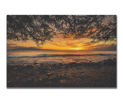 A photograph of the sunset over the ocean from Lāhainā in Maui, Hawaiʻi on a rocky beach, from underneath a tree. Printed on a box board.