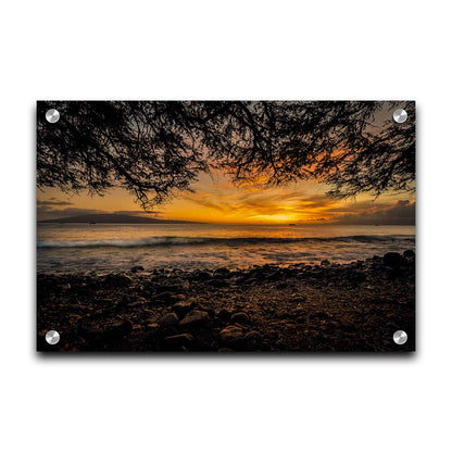 A photograph of the sunset over the ocean from Lāhainā in Maui, Hawaiʻi on a rocky beach, from underneath a tree. Printed on acrylic.