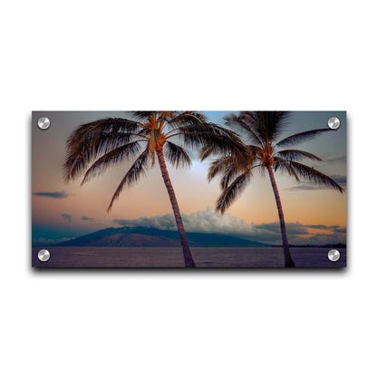 A photo of two palm trees in Maui at sunset, with the sea and cloud-topped mountains in the background. Printed on acrylic.