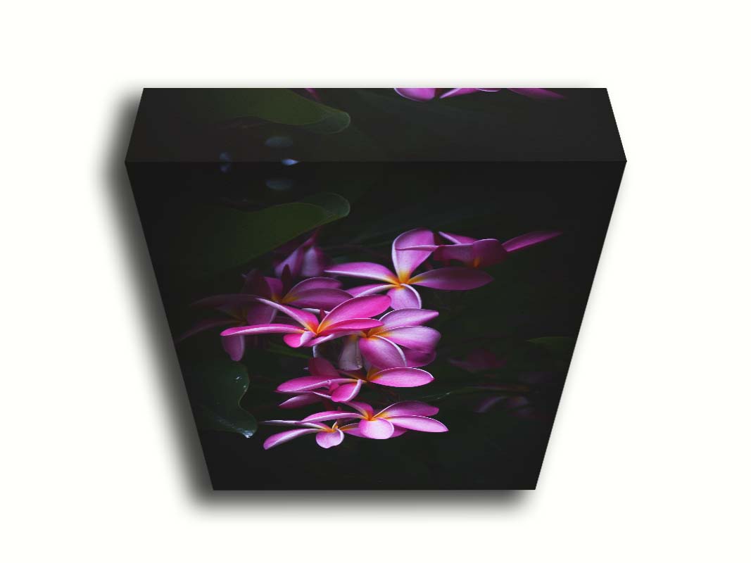 A photograph of magenta plumeria flowers, set against dark green leaves. Printed on canvas.