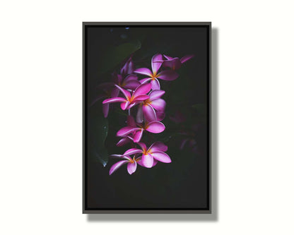 A photograph of magenta plumeria flowers, set against dark green leaves. Printed on canvas in a float frame.