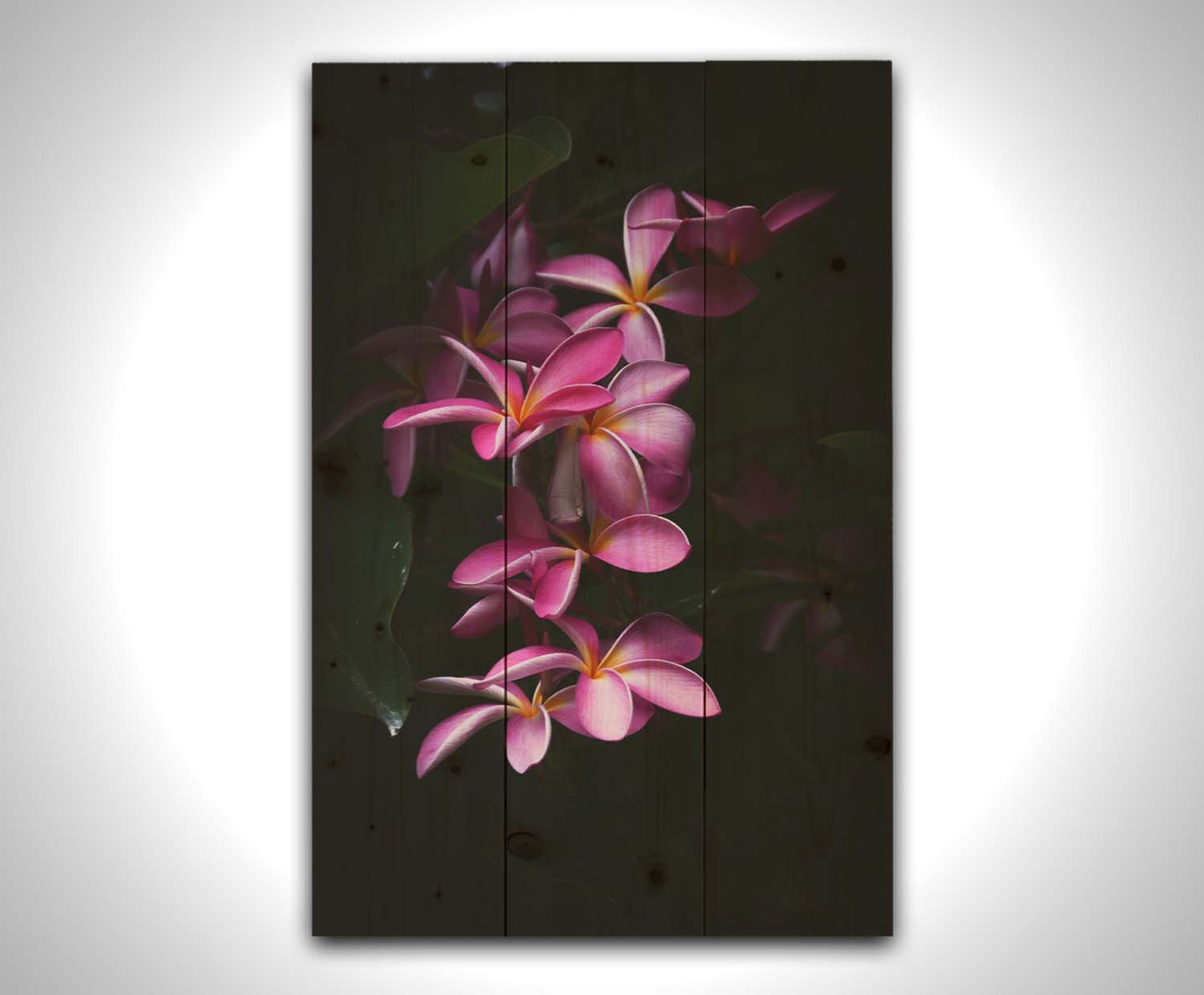 A photograph of magenta plumeria flowers, set against dark green leaves. Printed on a wood pallet.