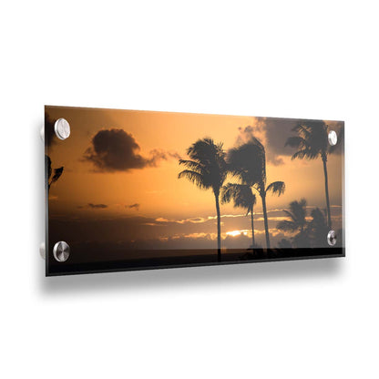 A photograph of an orange sunset over the sea, with striking palm trees silhouetted against the sky in Maui, Hawaiʻi. Printed on acrylic.