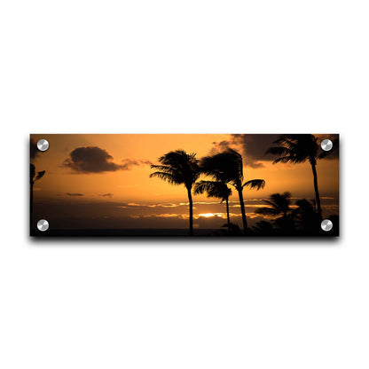 A photograph of an orange sunset over the sea, with striking palm trees silhouetted against the sky in Maui, Hawaiʻi. Printed on acrylic.