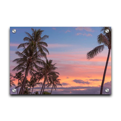 A photograph of Hawaiʻian palm trees, backed by a sunset sky in orange, pink, and blue. Printed on acrylic.