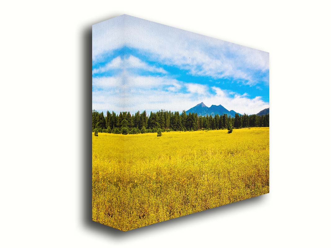 A photograph of the San Francisco Peaks in Arizona as seen from a golden meadow below. The composition creates layers of color, from the white clouds above, to the blue sky and mountains, to the green forest, and lastly to the yellow meadow. Printed on canvas.