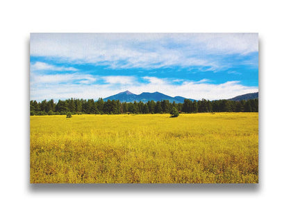 A photograph of the San Francisco Peaks in Arizona as seen from a golden meadow below. The composition creates layers of color, from the white clouds above, to the blue sky and mountains, to the green forest, and lastly to the yellow meadow. Printed on canvas.