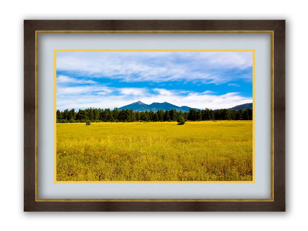 A photograph of the San Francisco Peaks in Arizona as seen from a golden meadow below. The composition creates layers of color, from the white clouds above, to the blue sky and mountains, to the green forest, and lastly to the yellow meadow. Printed on paper, matted, and framed.